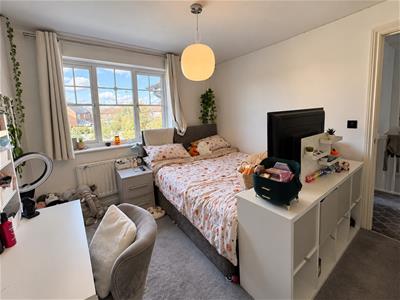 Picture 22